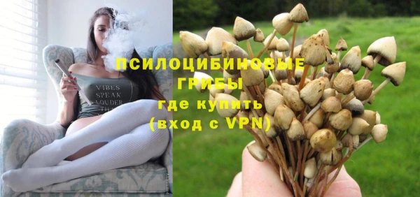 мет Арсеньев
