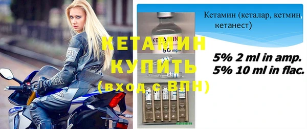 крисы Кулебаки