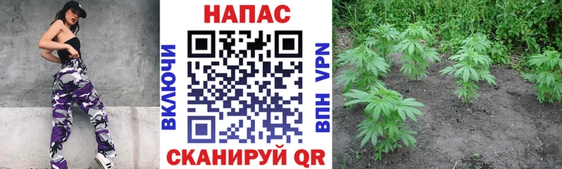МАРИХУАНА SATIVA & INDICA  Купить где  Бирск 